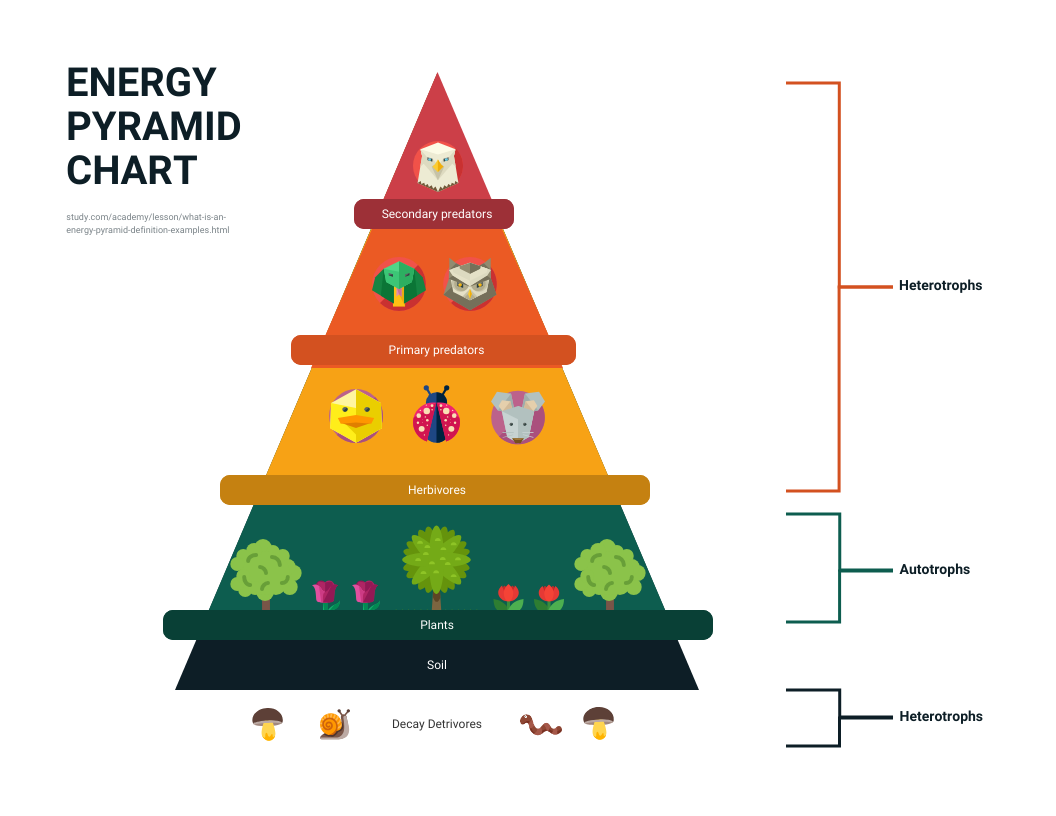 Pyramid Chart Template Pyramid Chart Template