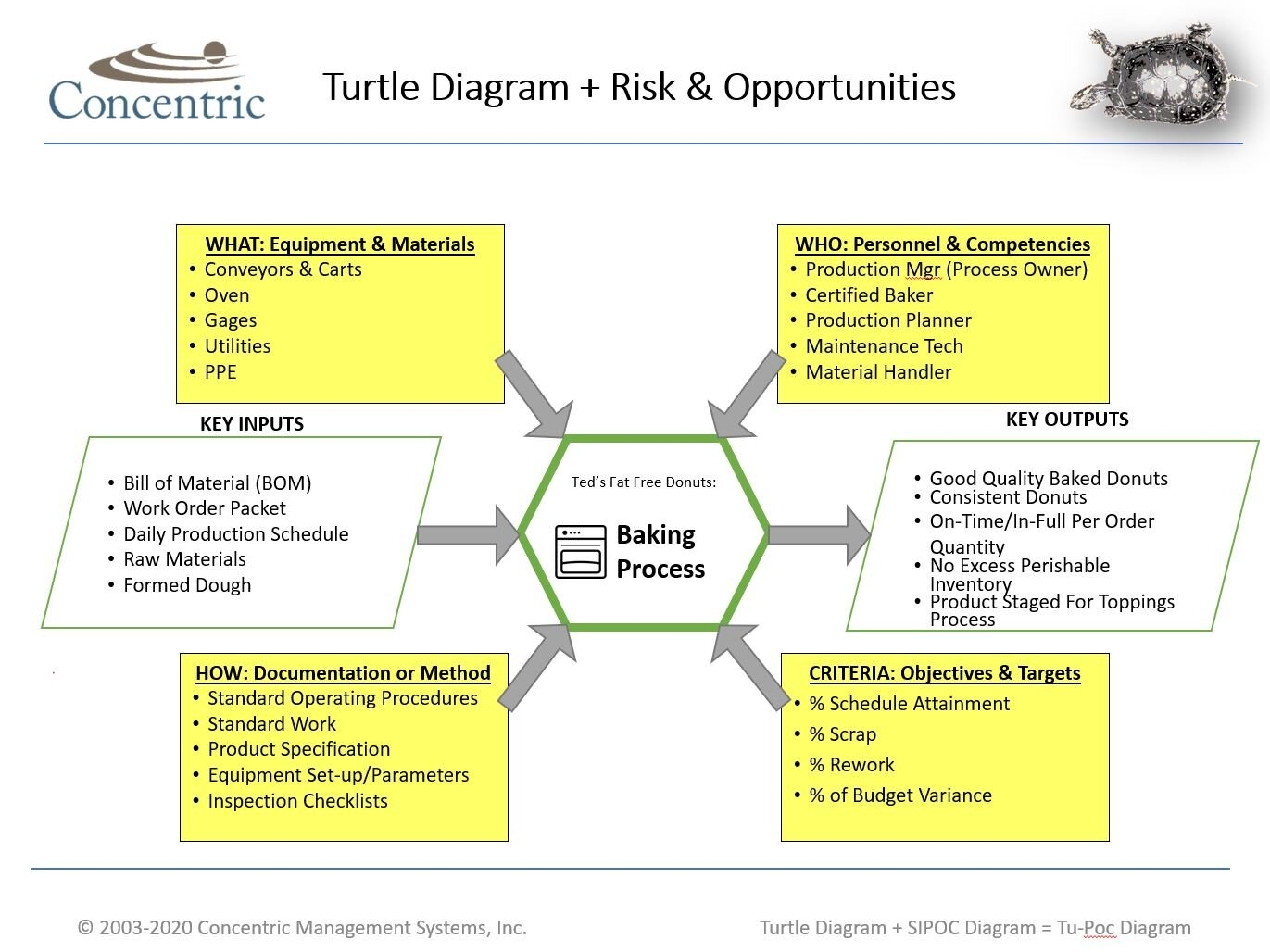 Instructions For Creating A Turtle Diagram Concentric Global Instructions For Creating A Turtle Diagram Concentric Global