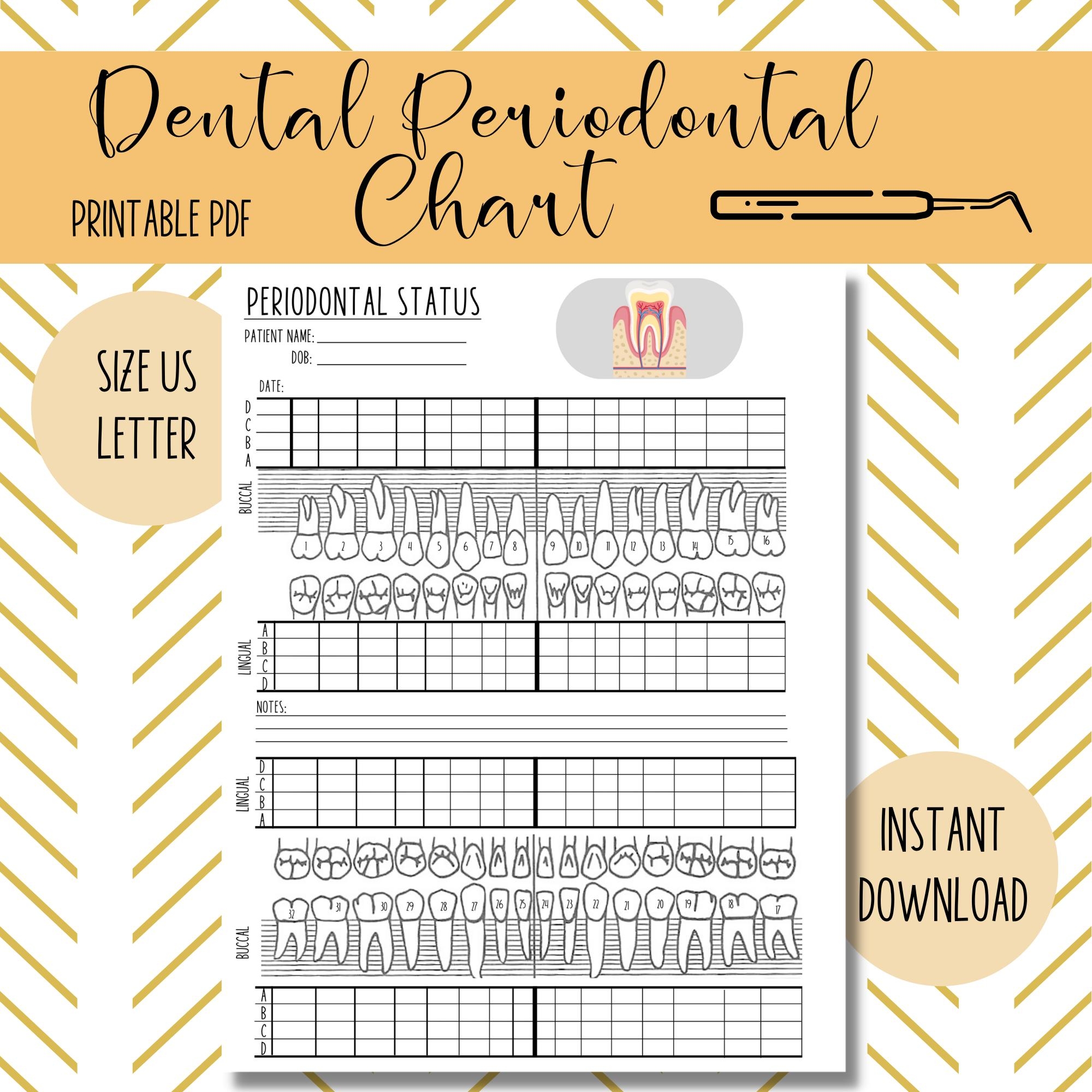 Periodontal Chart For Dentist Office Etsy