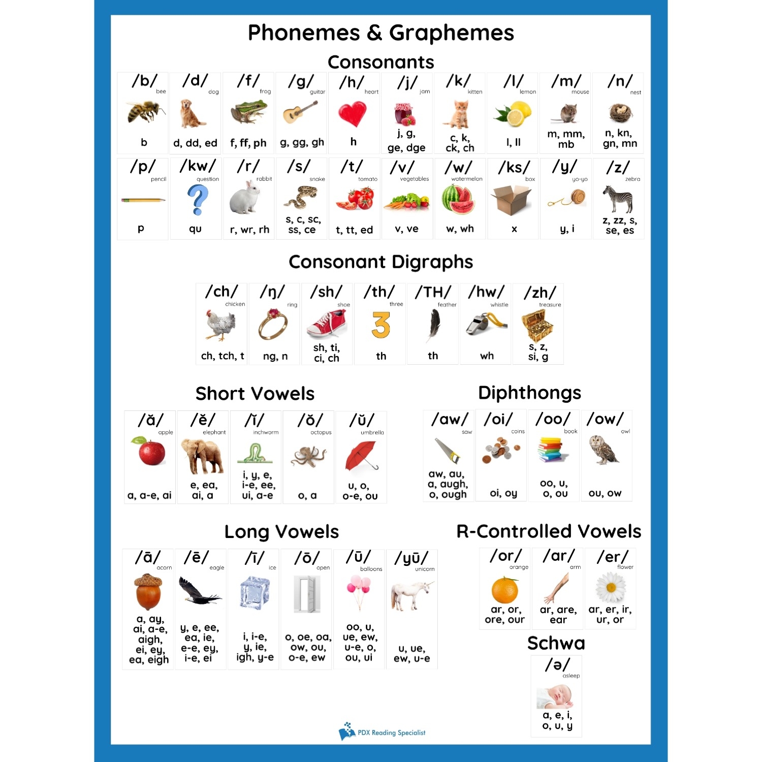 Phoneme Grapheme Poster Real Images PDX Reading Specialist
