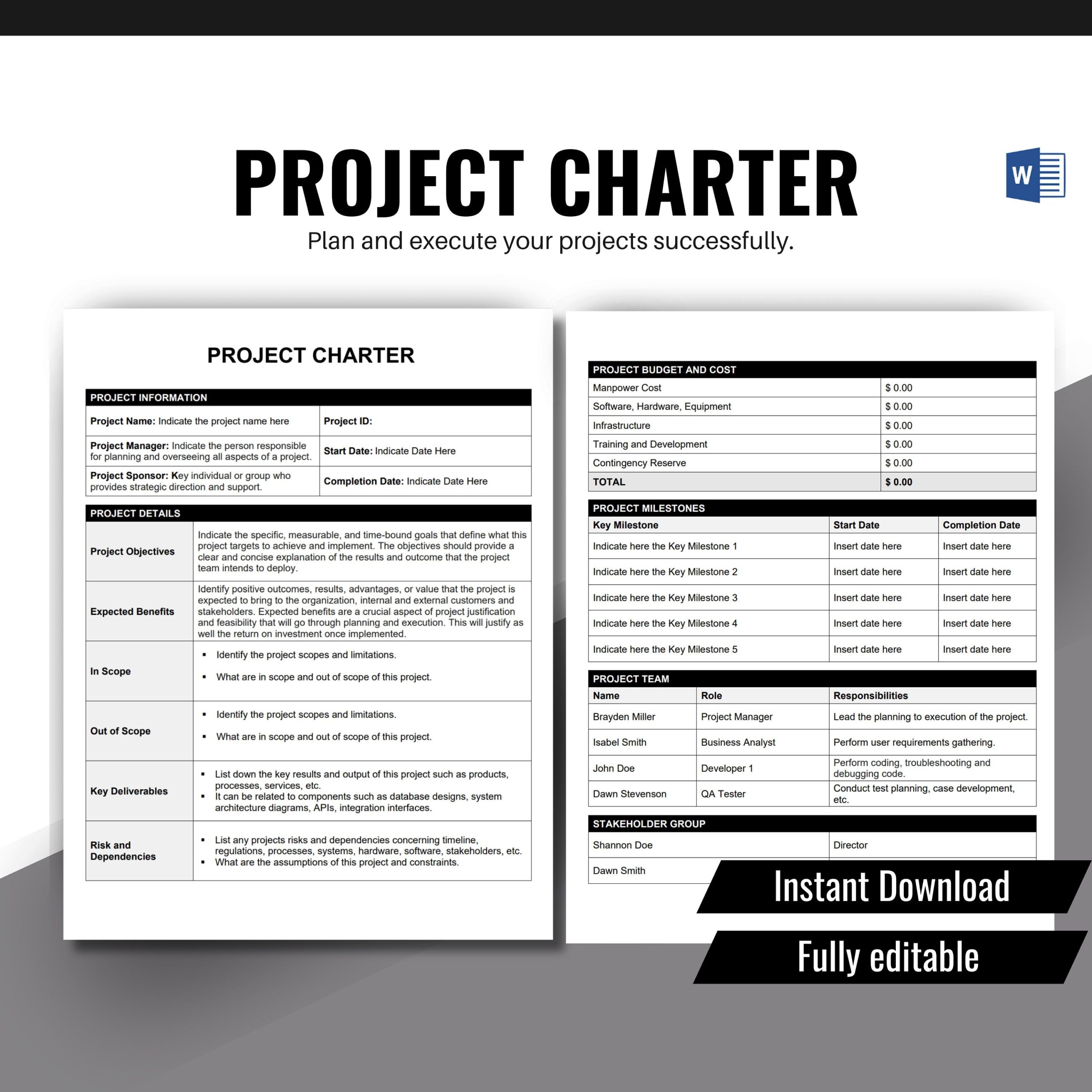 Project Charter Template Project Management Template Project 