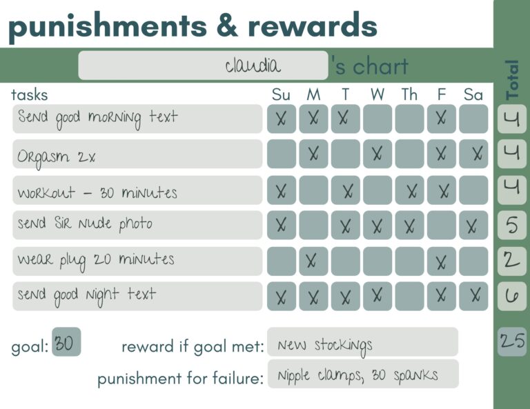 Punishment Reward Chart BDSM Etsy