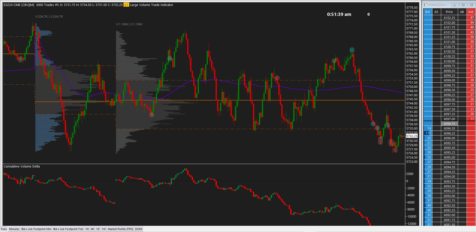 Sierra Chartbook Store Price Action Volume Trader