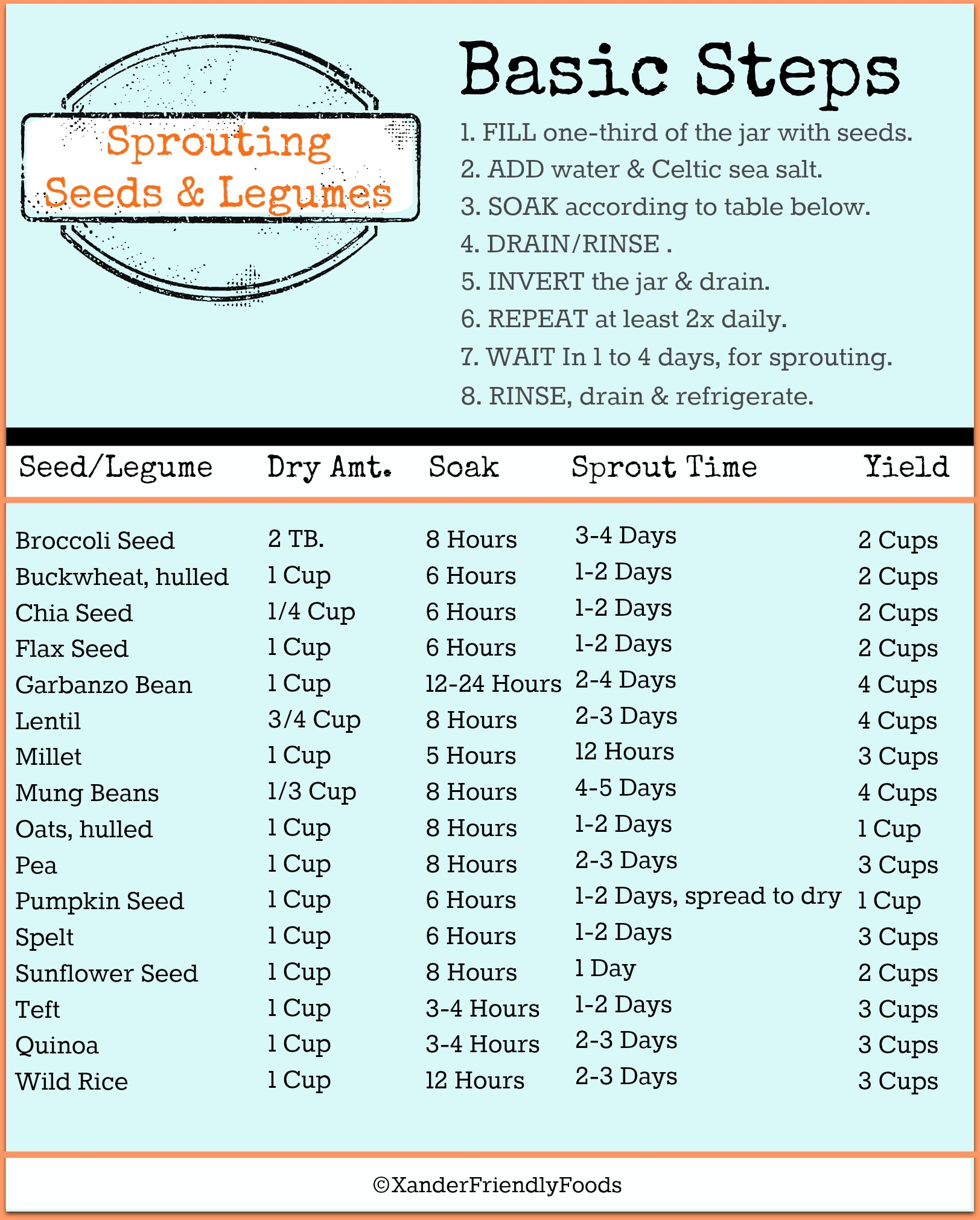 Soaking Sprouting 101 Allergylicious