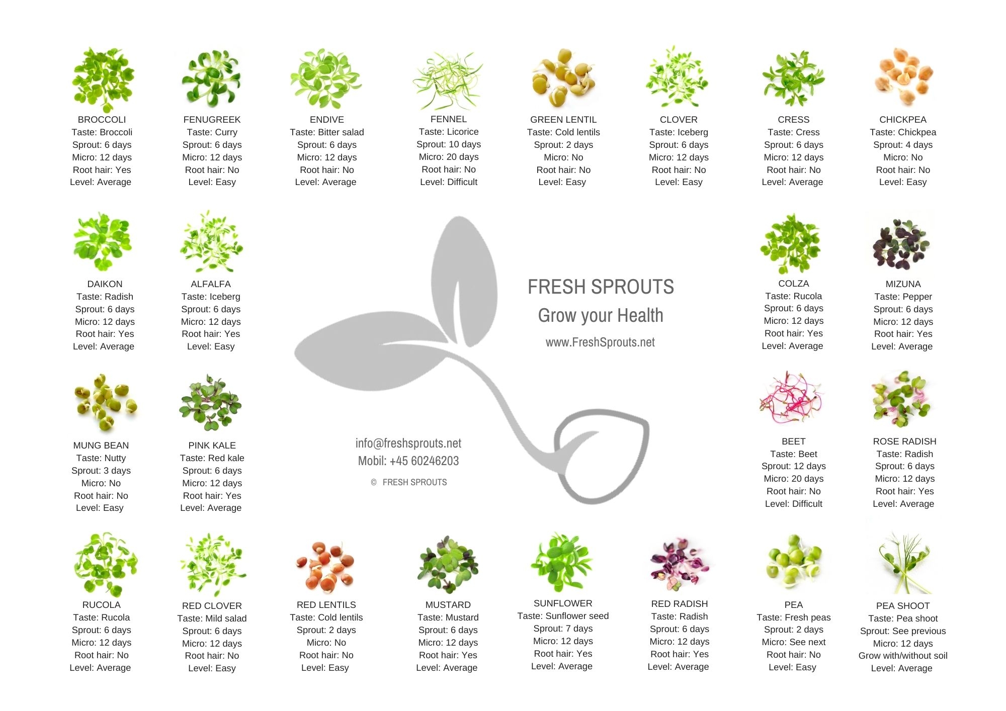 Sprout Chart In Print With Info On Organic Sprouts And Microgreens