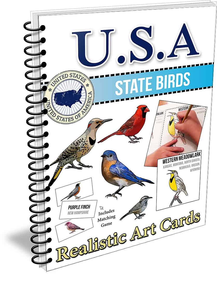 Printable Chart Of State Birds