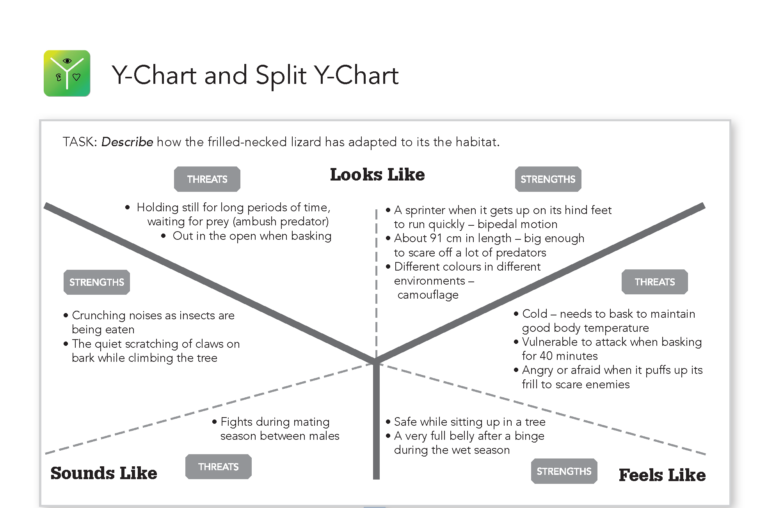 Use The Y Chart To State Identify Describe And Create Class Activities And Assessments Easily ITC Thinkdrive