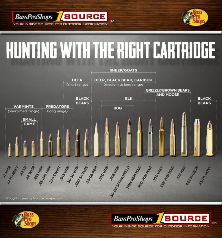 Use This Rifle Caliber Chart To Pick The Right Ammo For Hunting Bass Pro Shops