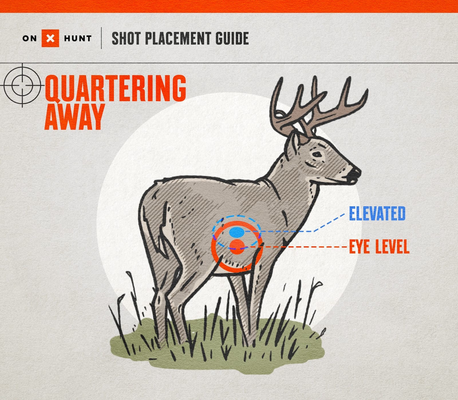 Where To Shoot A Deer Shot Placement Guide For Bow Rifle OnX Hunt Where To Shoot A Deer Shot Placement Guide For Bow Rifle OnX Hunt
