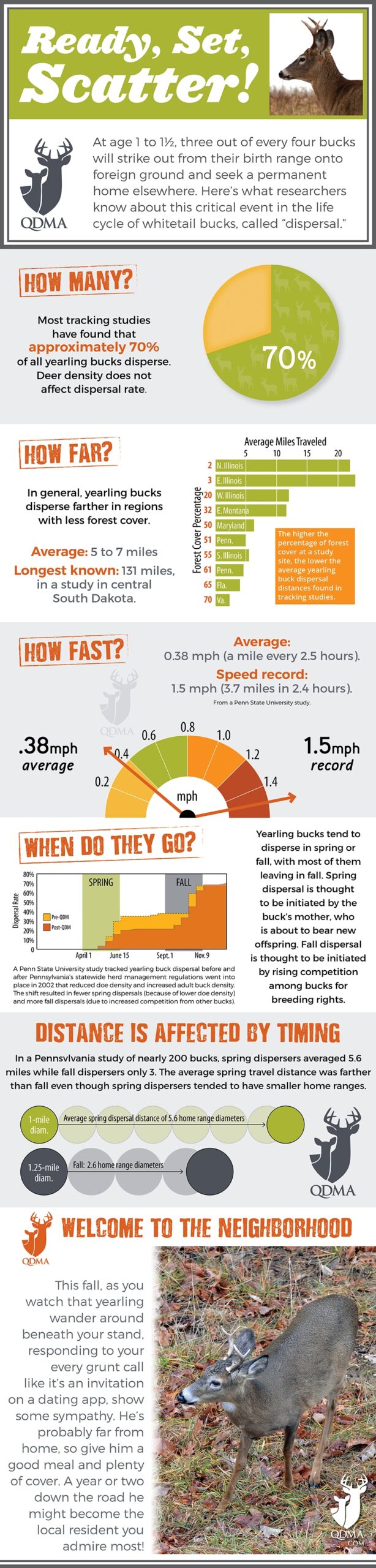 Yearling Buck Dispersal How Far How Fast How Many National Deer Association Yearling Buck Dispersal How Far How Fast How Many National Deer Association