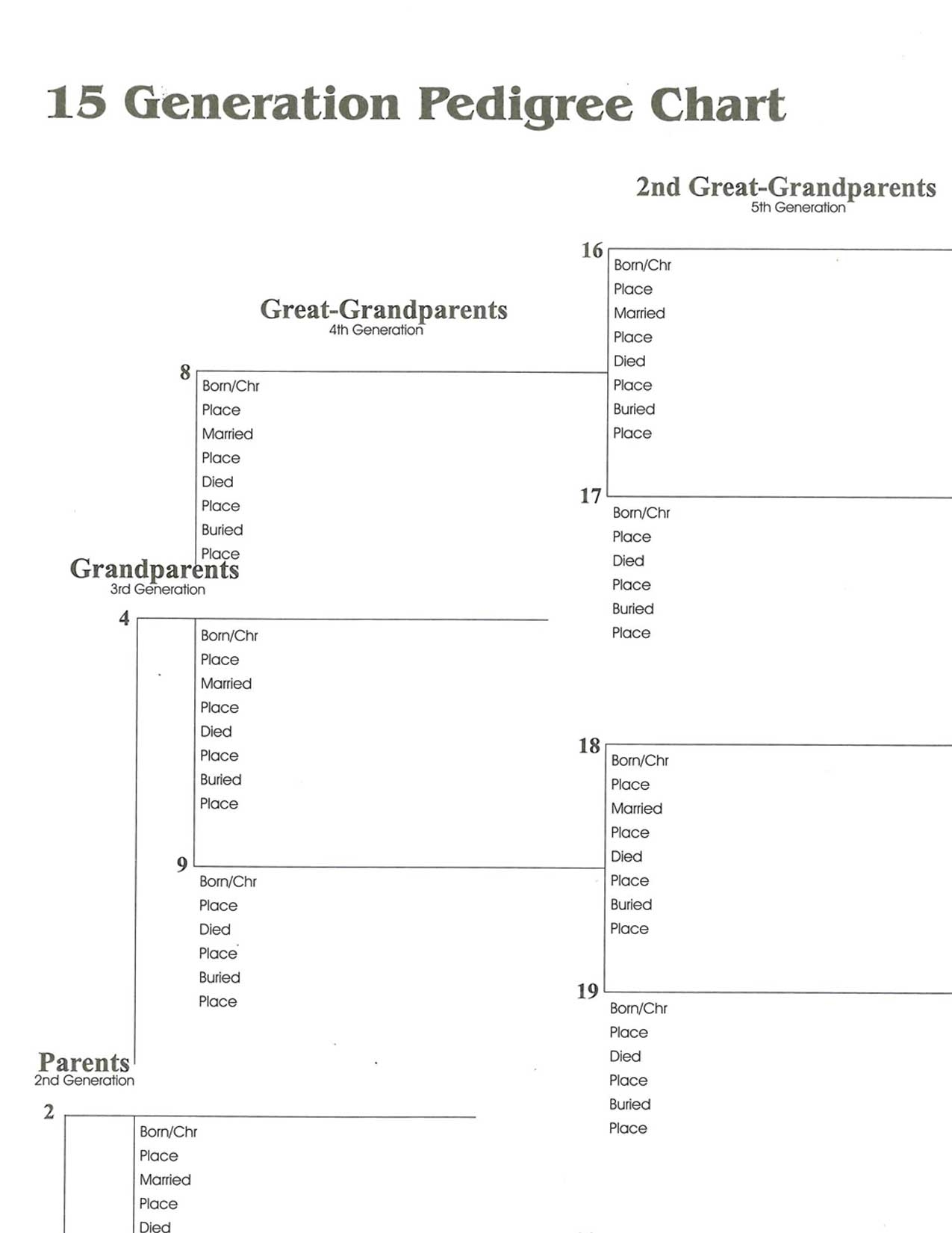 15 Generation Wall Chart Jigsaw Genealogy 15 Generation Wall Chart Jigsaw Genealogy