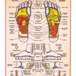 31 Printable Foot Reflexology Charts Maps TemplateLab