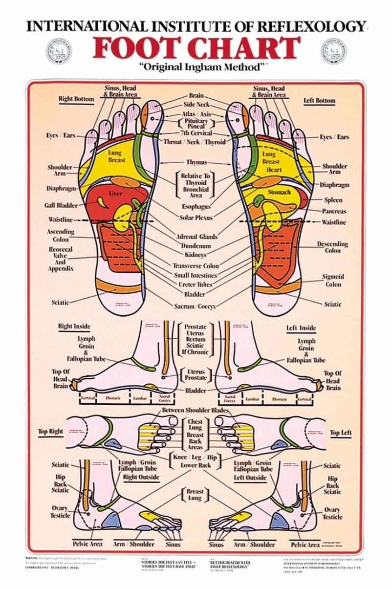 31 Printable Foot Reflexology Charts Maps TemplateLab 31 Printable Foot Reflexology Charts Maps TemplateLab