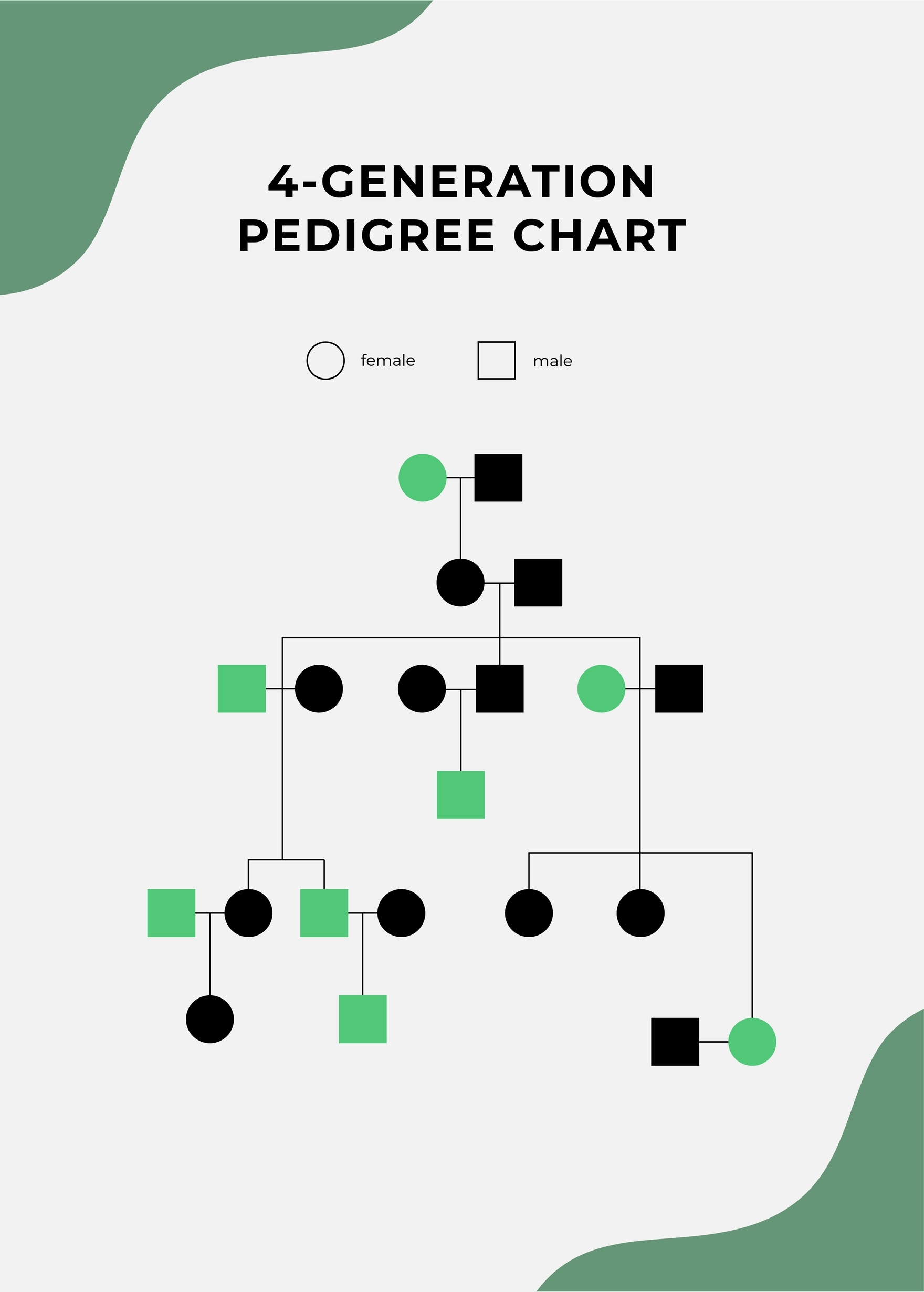 4 Generation Pedigree Chart In Illustrator PDF Download Template 4 Generation Pedigree Chart In Illustrator PDF Download Template