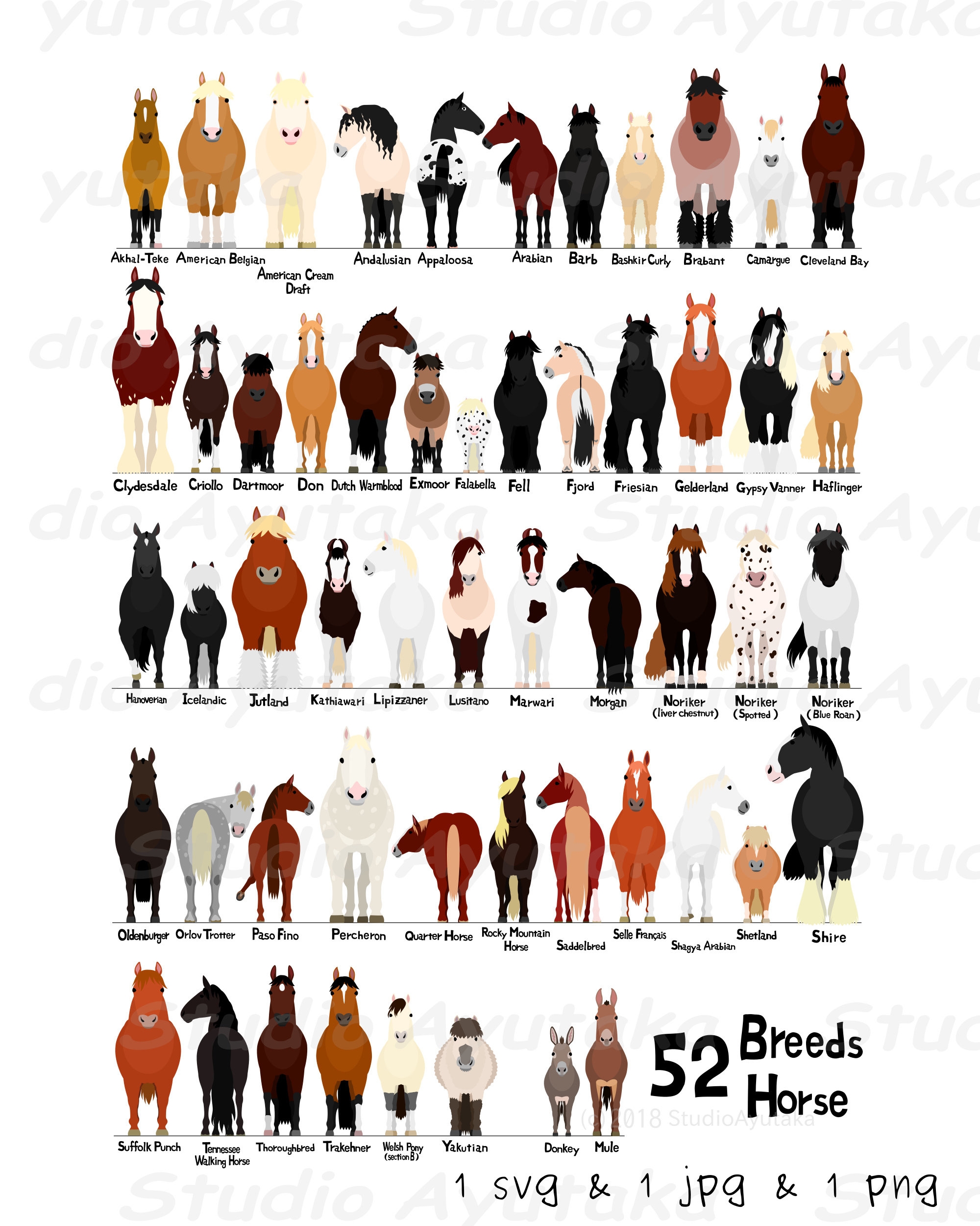 52 Breeds Of Horse Digital Chart Svg Jpg Png 16 20 Etsy