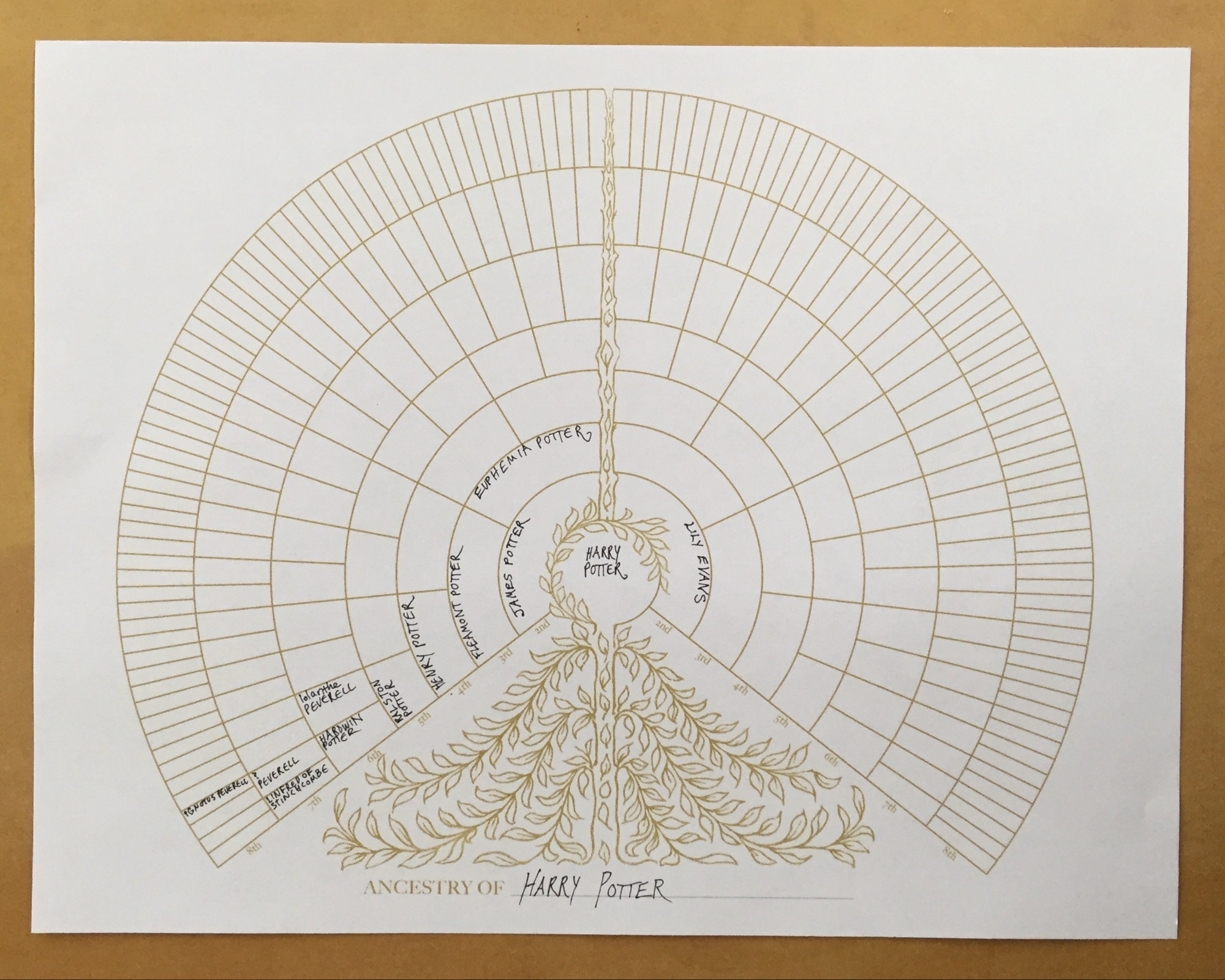 Printable Family Tree Fan Charts