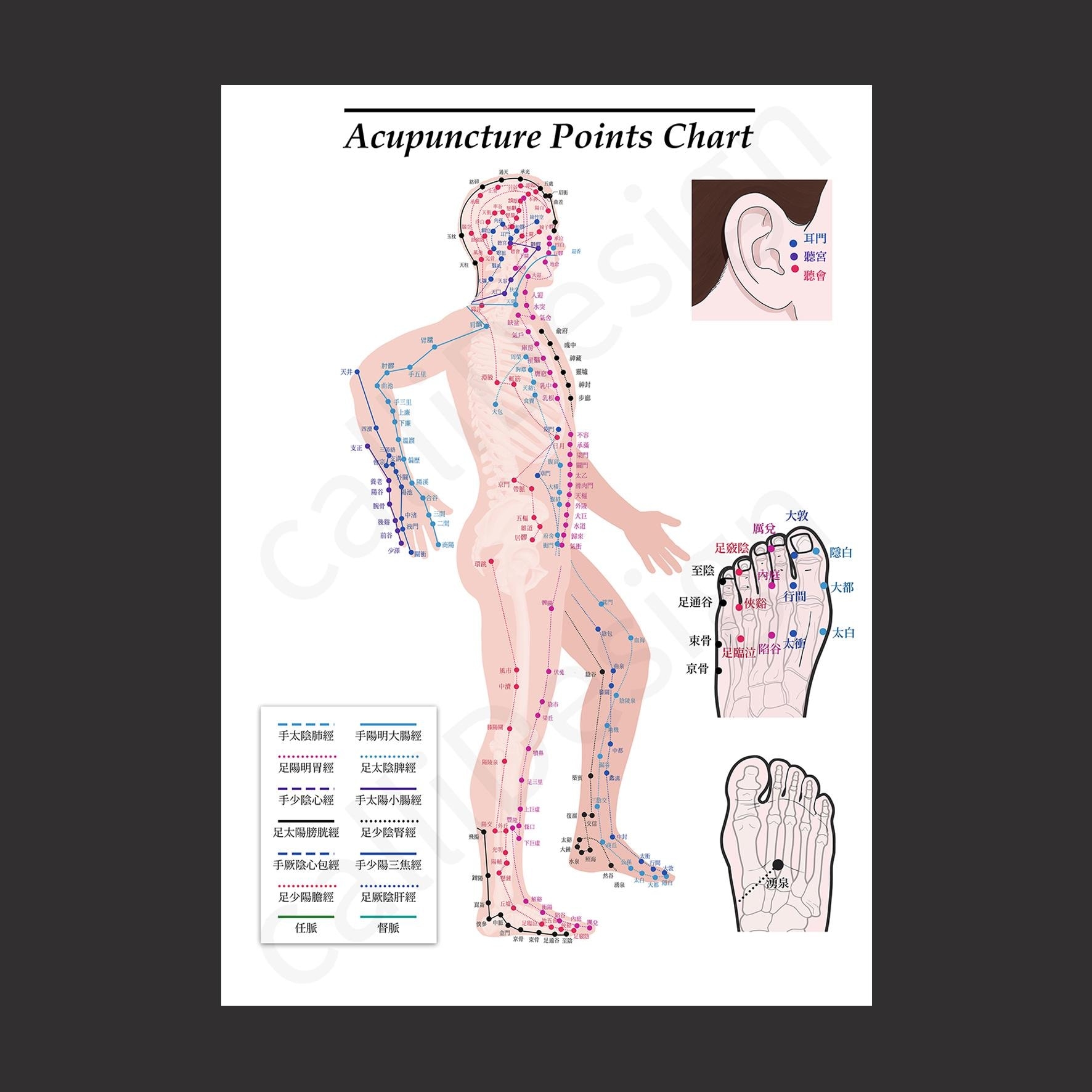 Acupuncture Points Chart Poster Three Types a4jpg File Etsy Israel