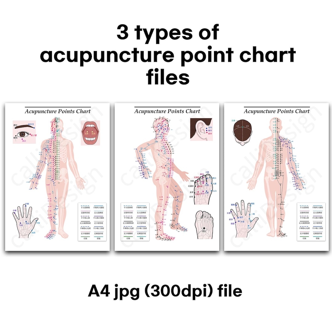 Acupuncture Points Chart Poster Three Types a4jpg File Etsy