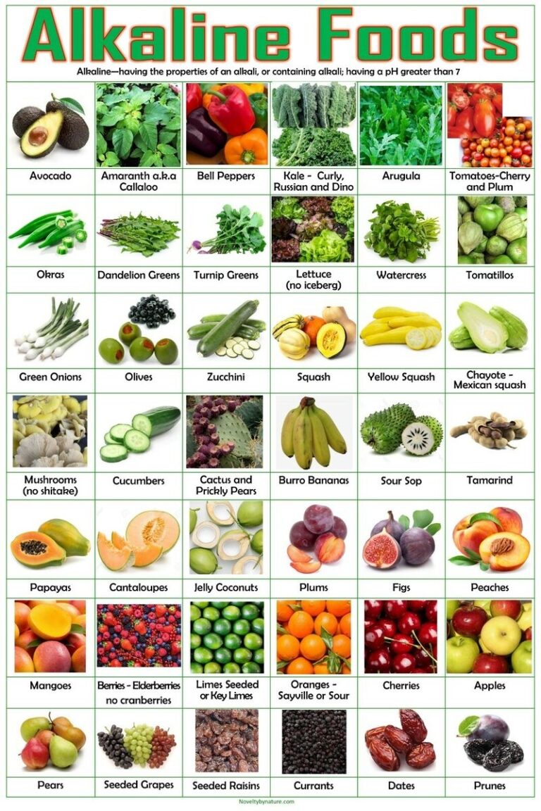 Alkaline Foods Poster Alkaline Vegetables Alkaline Fruits Dr Sebi Food List EBay