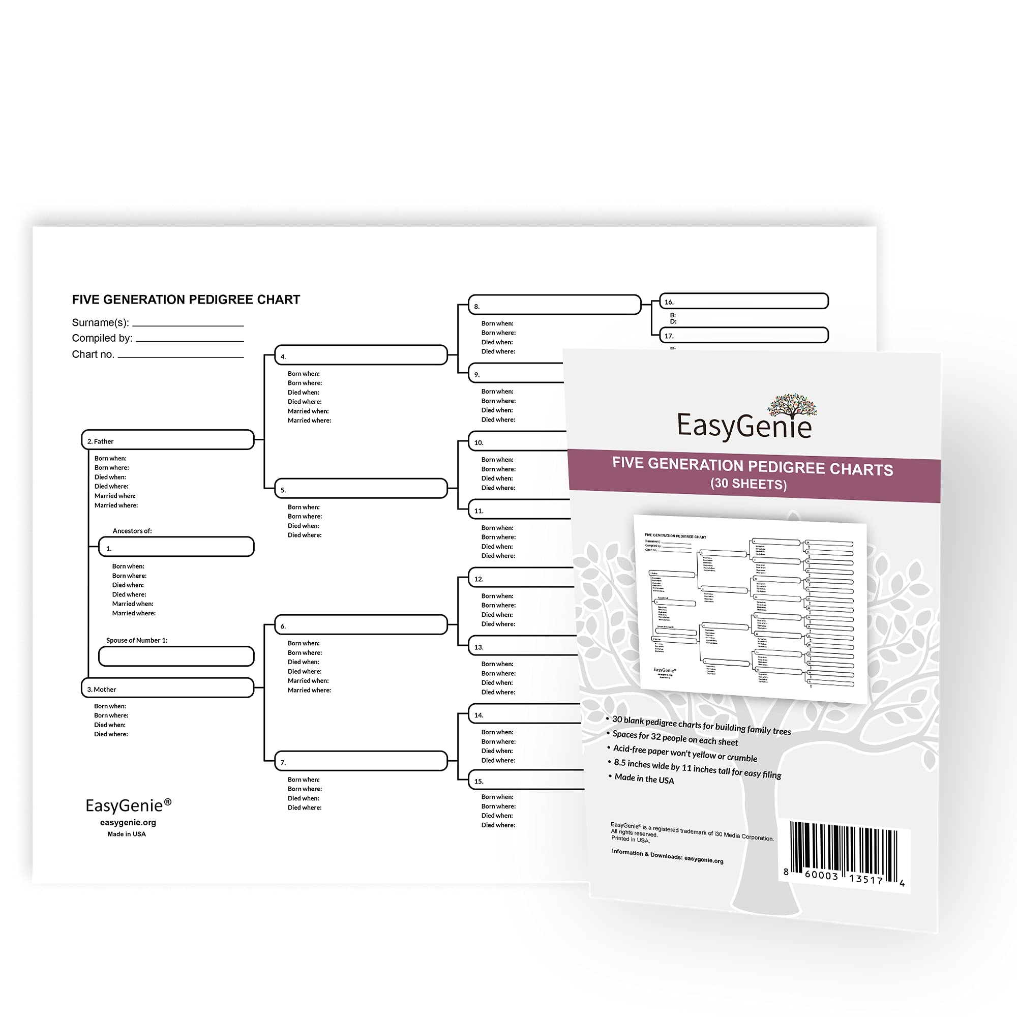 Amazon EASYGENIE Five Generation Pedigree Charts 30 Acid Free Sheets 8 5 By 11 Inches Blank Genealogy Diagrams To Fill In Office Products