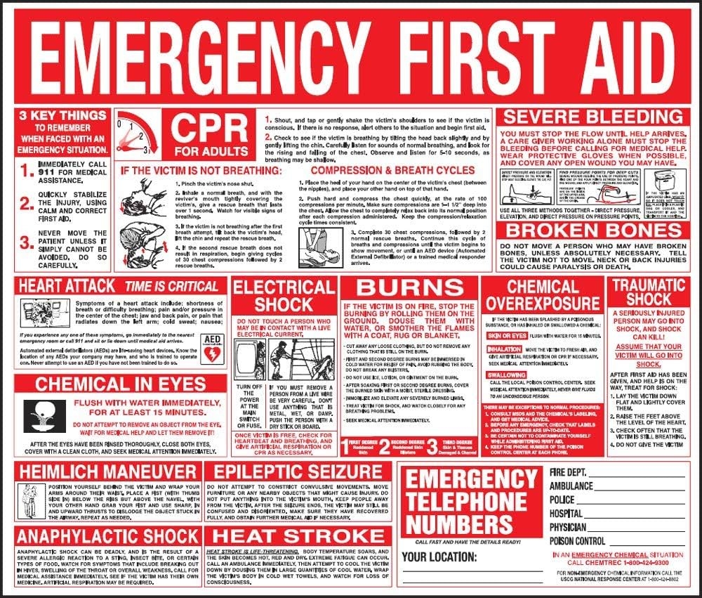 Amazon First Aid Wall Chart 22x26 Health Household