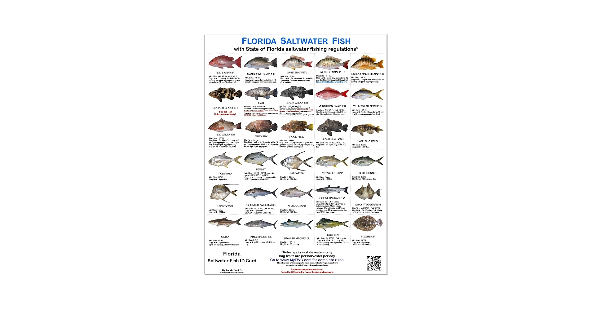 Amazon Florida Saltwater Fish Identification Cards Waterproof Guide Set Of 3 60 Common Fish 17 Sharks FWC Regulations Laminated Fishing Reference For Boats Pier Beach Inshore Offshore Fishing Sports Outdoors Amazon Florida Saltwater Fish Identification Cards Waterproof Guide Set Of 3 60 Common Fish 17 Sharks FWC Regulations Laminated Fishing Reference For Boats Pier Beach Inshore Offshore Fishing Sports Outdoors