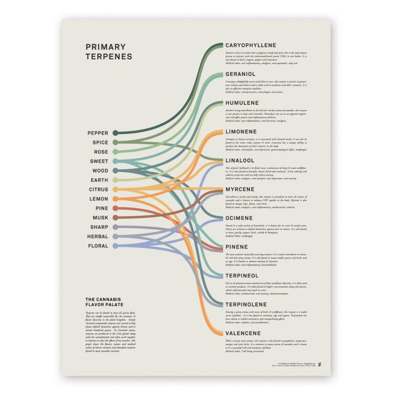 Amazon Goldleaf Primary Terpenes Art Print The Cannabis Flavor Palate Infographic Chart Terpene Poster Marijuana Flavors Infographic Elevated Stoner Decor Weed Chart Wall Art 18x24 Office Products