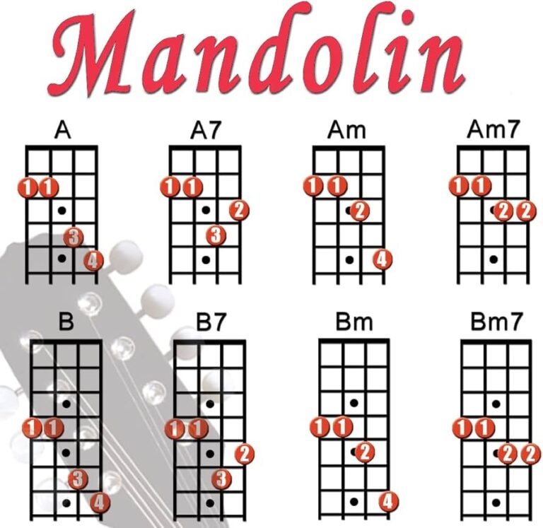 Amazon Mini Mandolin Chord Chart Poster Laminated Mandolin Instrument Chart For Beginners And Musicians Music Theory Poster With 56 Chords Mandolin Accessories 8 5 X 11 Walrus Productions Musical Instruments