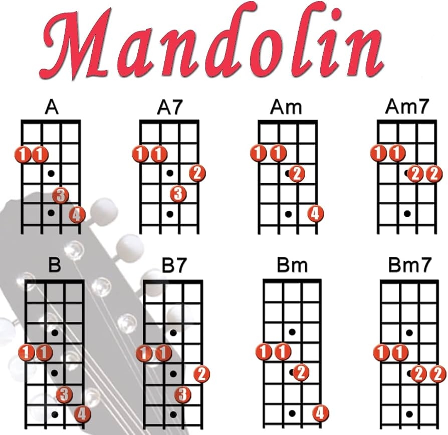 Amazon Mini Mandolin Chord Chart Poster Laminated Mandolin Instrument Chart For Beginners And Musicians Music Theory Poster With 56 Chords Mandolin Accessories 8 5 X 11 Walrus Productions Musical Instruments