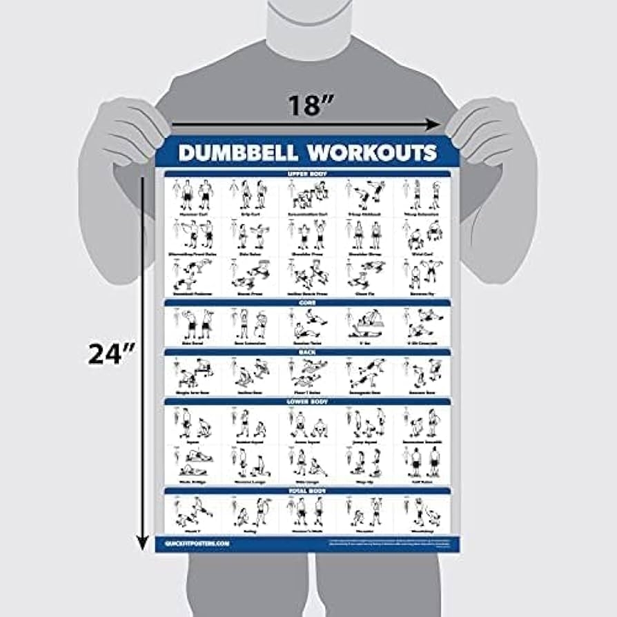 Best Dumbbell Workout Chart Printable
