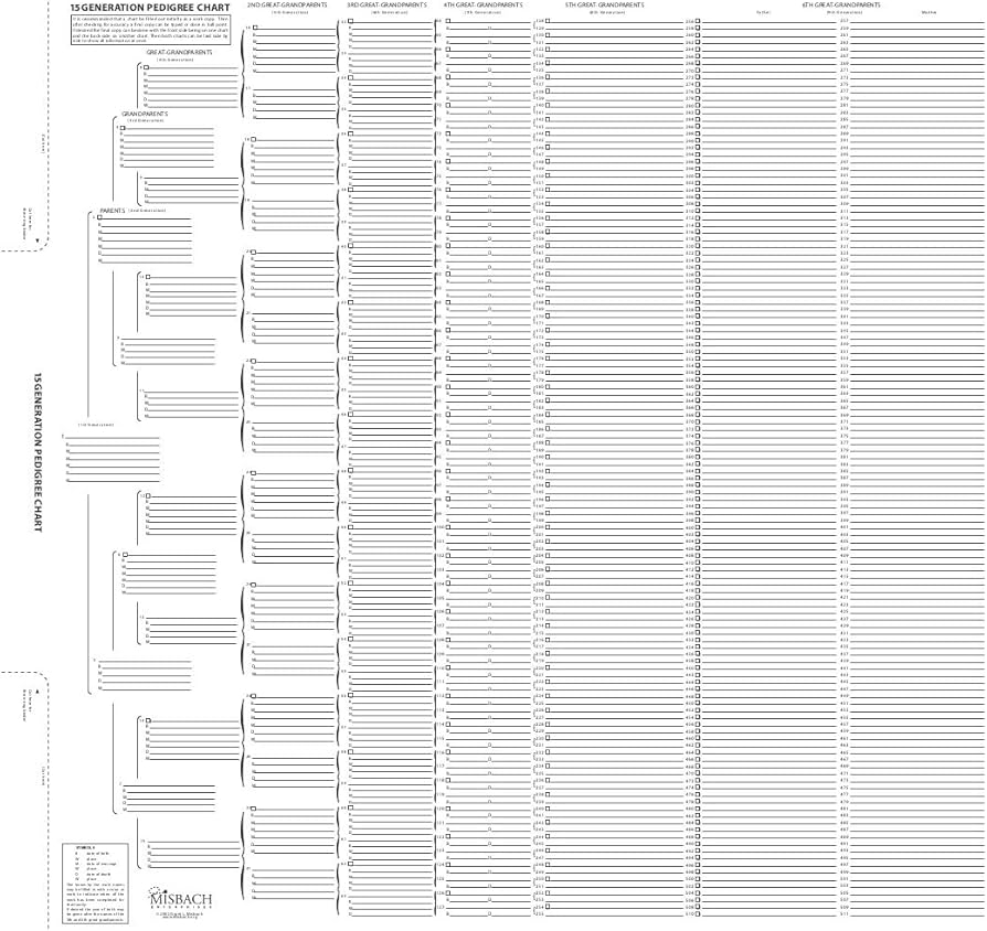 Amazon TreeSeek 15 Generation Pedigree Chart Blank Genealogy Forms For Family History And Ancestry Work Office Products