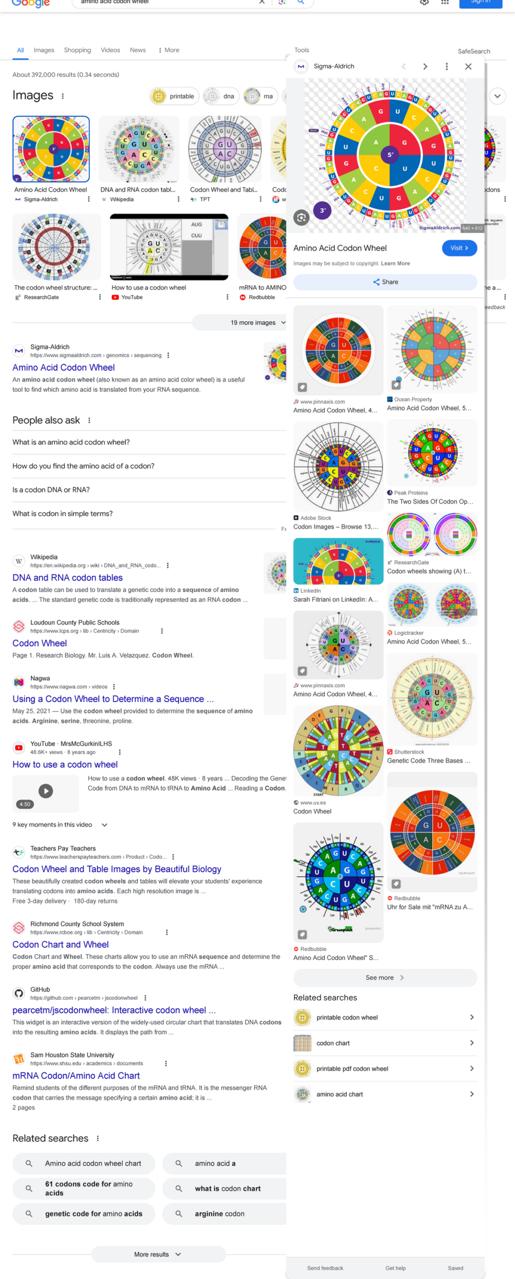Printable Circle Amino Acid Chart