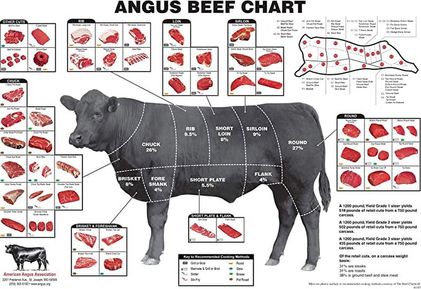 Angus Beef Chart Meat Cuts Diagram Poster 24 Inches X 36 Inches Art Walmart Angus Beef Chart Meat Cuts Diagram Poster 24 Inches X 36 Inches Art Walmart