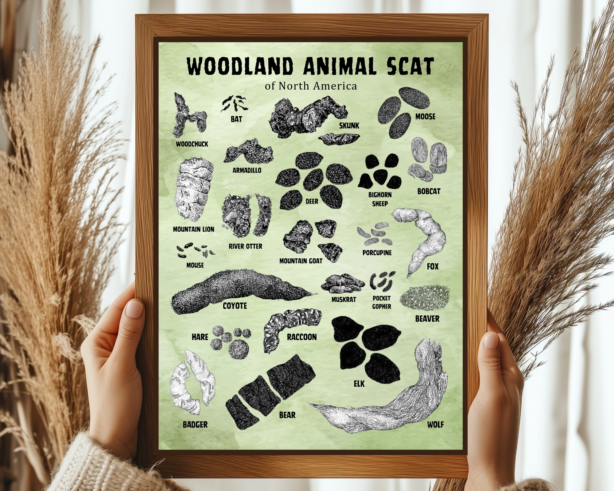 Animal Scat Print Woodland Animal Droppings Poster Wilderness Poop Chart Mountain Hunting Field Guide Woodland Decor PRINTABLE H112 Etsy