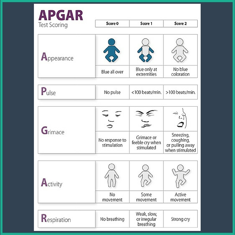 Apgar Chart