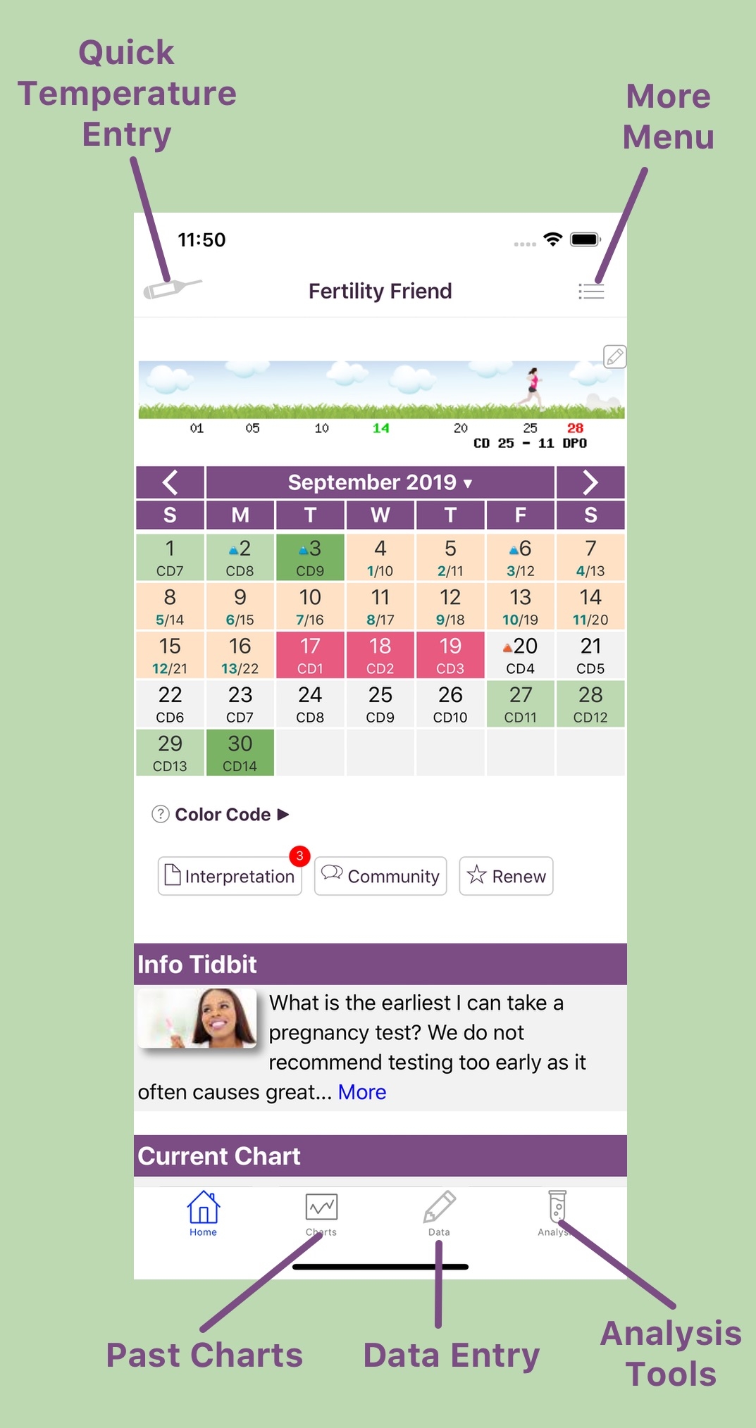 App Basics Fertility Friend
