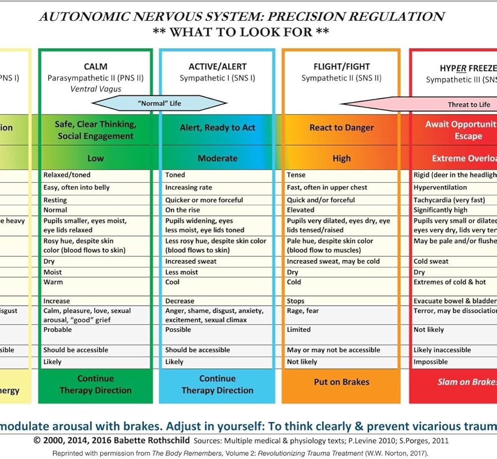 Autonomic Nervous System Table Laminated Card Rothschild MSW LCSW Babette 9780393712803 Amazon Books