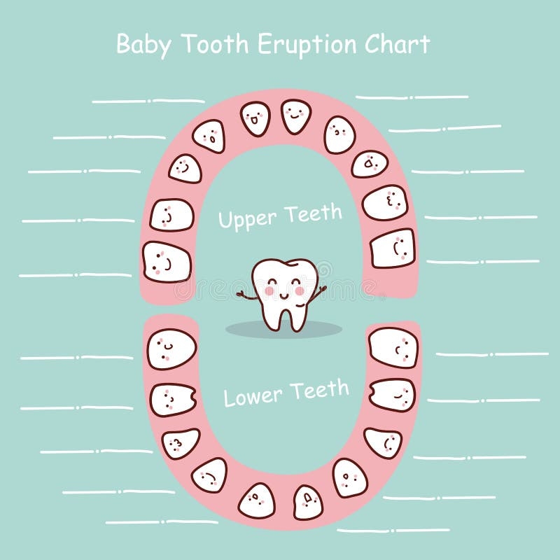 Printable Tooth Chart Child Printable Tooth Chart Child