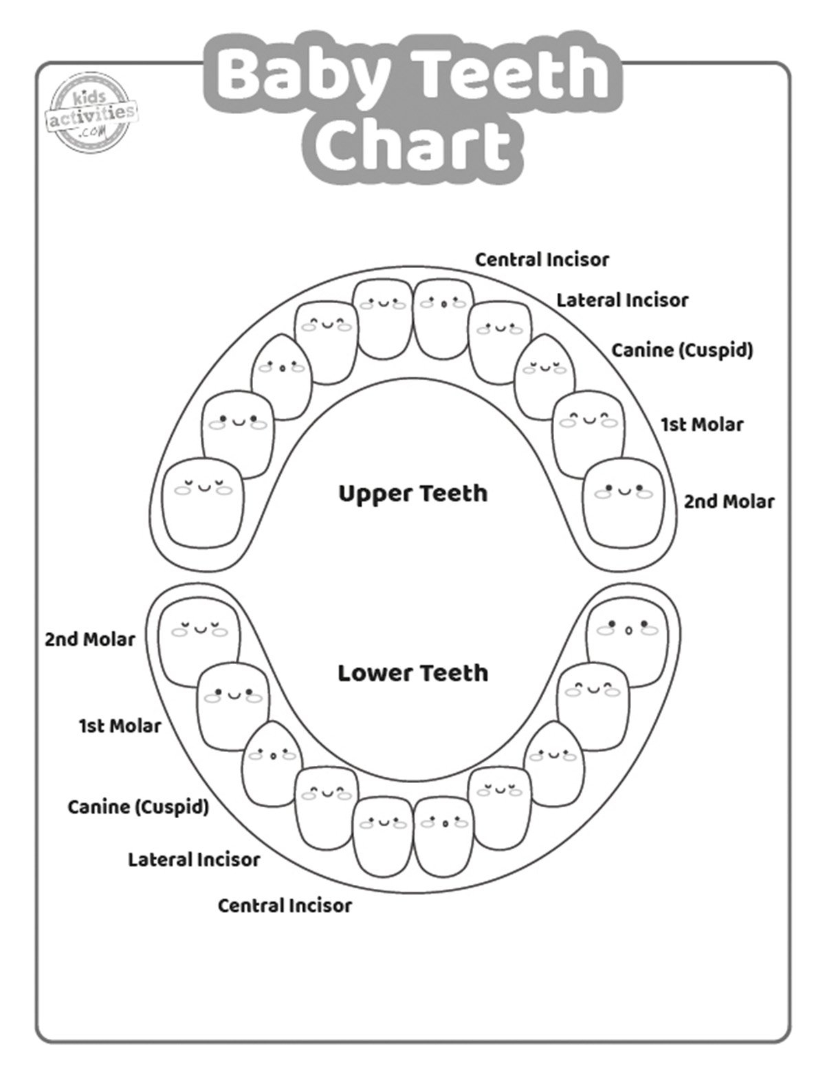 Baby Teeth Chart To Print Kids Activities Blog Baby Teeth Chart To Print Kids Activities Blog