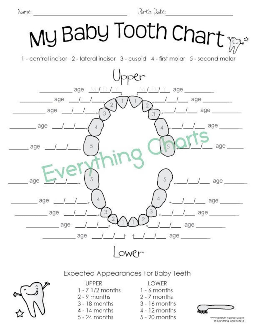 Baby Tooth Chart Pdf printable Etsy Baby Tooth Chart Pdf printable Etsy