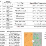 Beer Fermentation Temperature Chart A Complete Guide