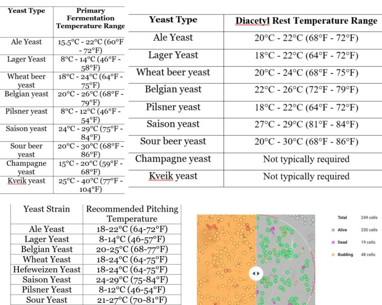 Beer Fermentation Temperature Chart A Complete Guide