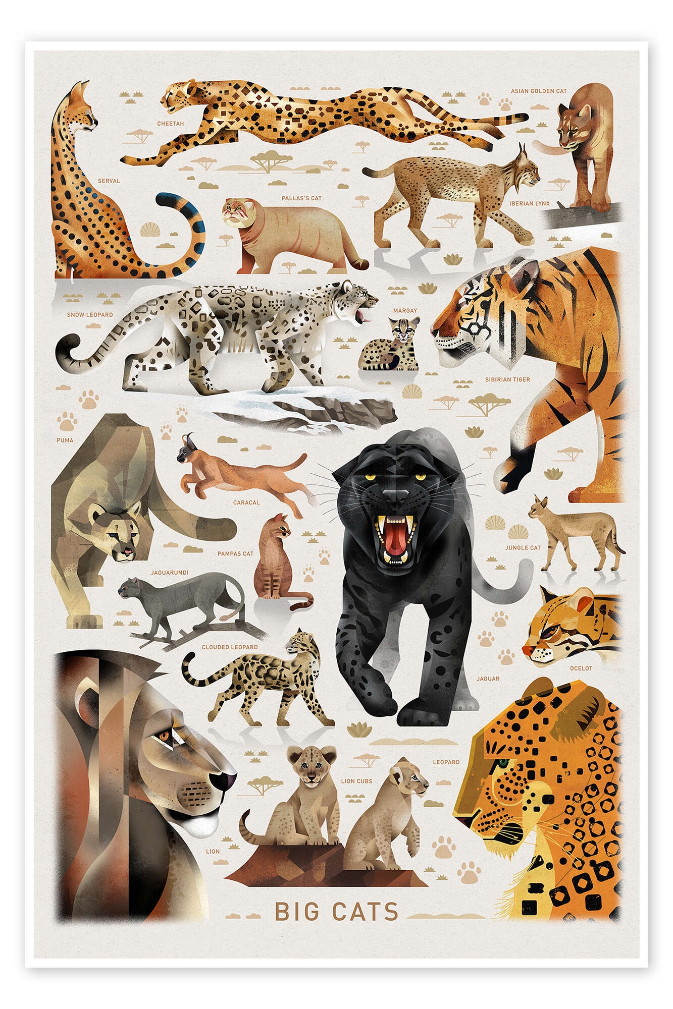 Big Cats I Print By Dieter Braun Posterlounge
