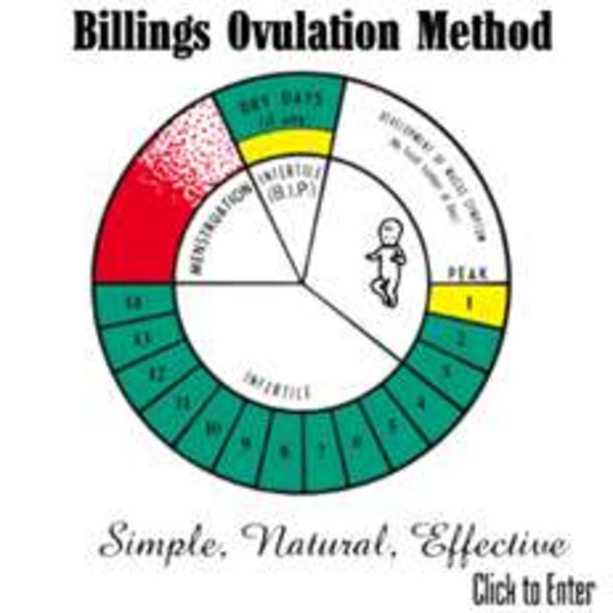 Billings Ovulation Chart The Billings Ovulation Billings Ovulation Chart The Billings Ovulation