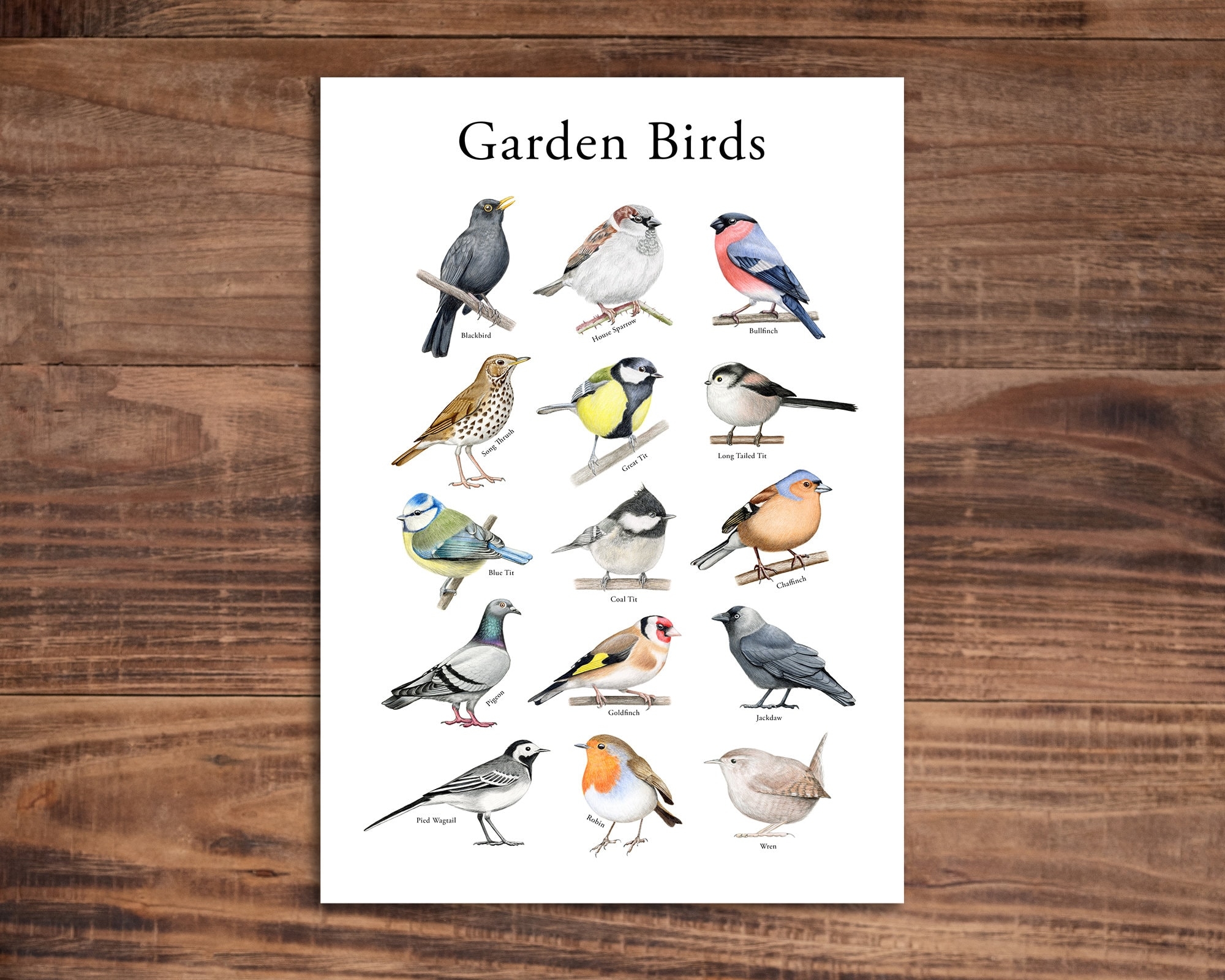 Printable Bird Chart