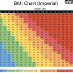 BMI Calculator Body Mass Index Healthy Weight Assessment
