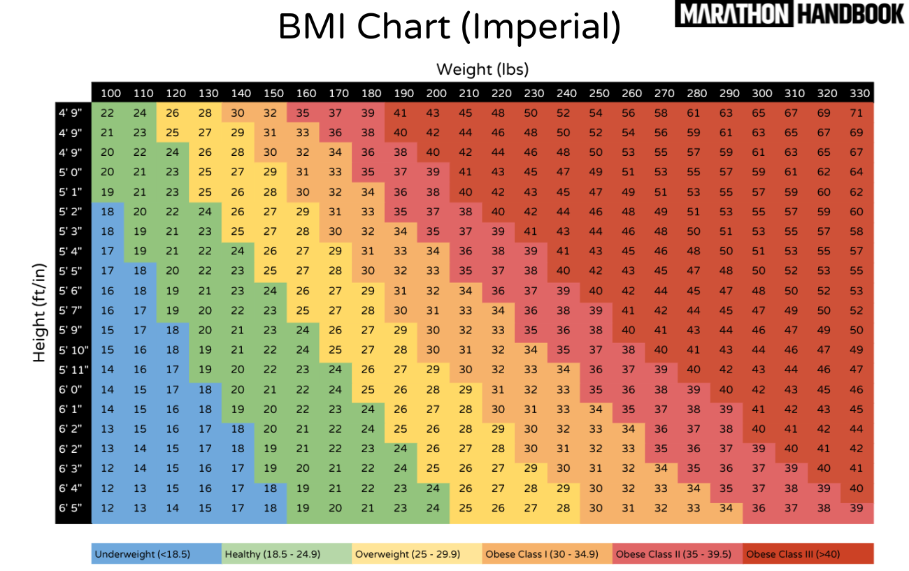 BMI Calculator Body Mass Index Healthy Weight Assessment BMI Calculator Body Mass Index Healthy Weight Assessment