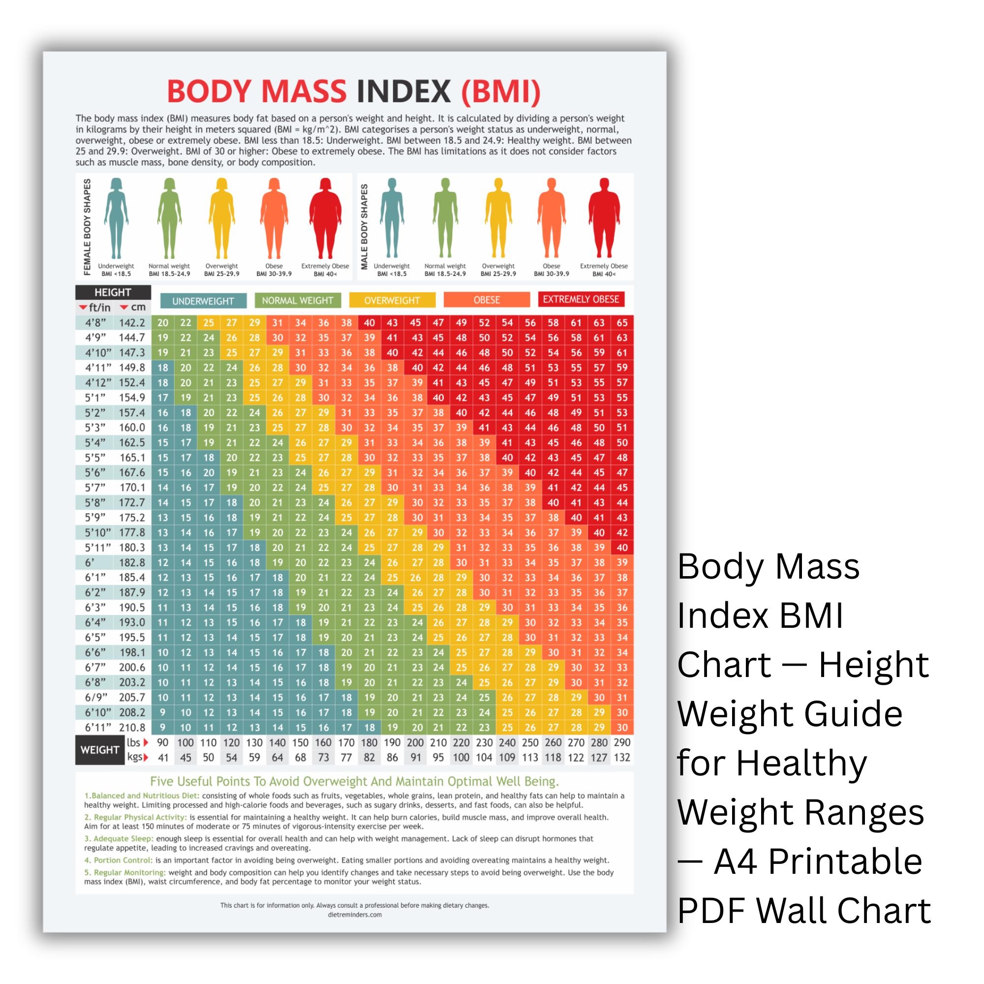Printable Bmi Chart For Women