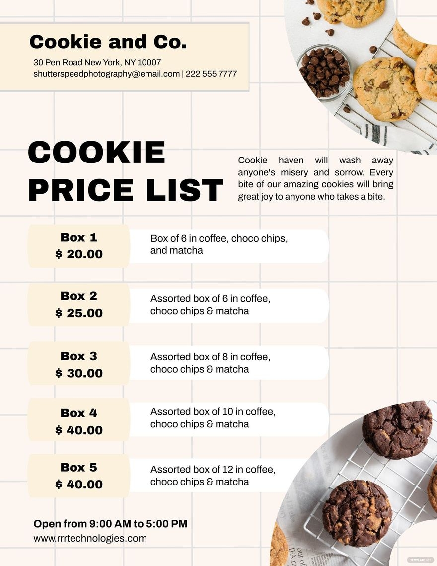 Business Pricing Guide Template In Illustrator PSD Word Download Template