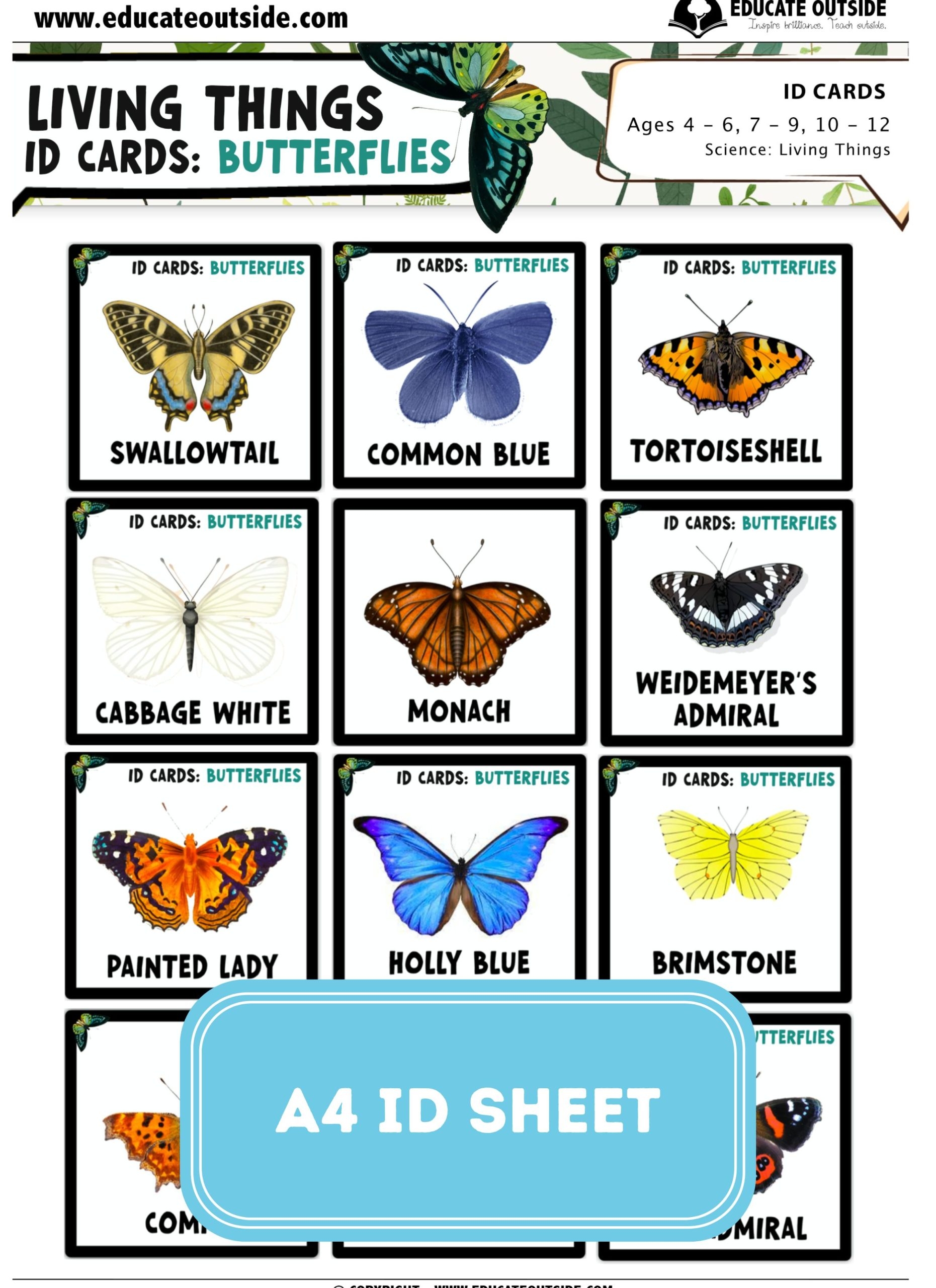 Butterfly Identification Guide A4 Poster Identification Cards Educate Outside Outdoor Lesson Ideas For Teachers Butterfly Identification Guide A4 Poster Identification Cards Educate Outside Outdoor Lesson Ideas For Teachers
